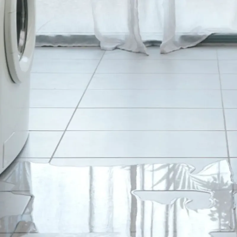 Appliance Leak Cleanup in Belmont, PA