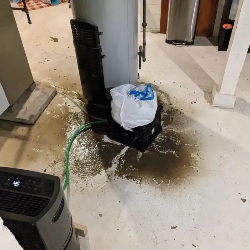 Sewage Backup Cleanup Service in Belmont, PA